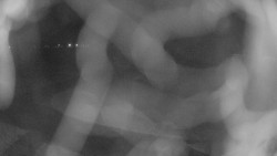 Areál koupaliště Holešov