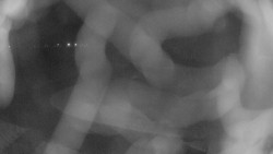 Areál koupaliště Holešov