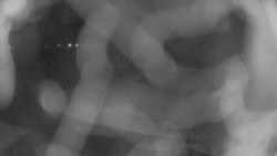 Areál koupaliště Holešov