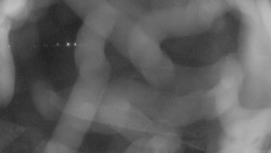 Areál koupaliště Holešov