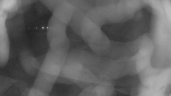 Areál koupaliště Holešov