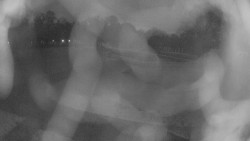 Areál koupaliště Holešov