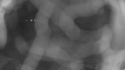 Areál koupaliště Holešov