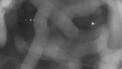 Areál koupaliště Holešov