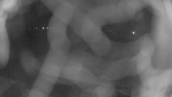 Areál koupaliště Holešov