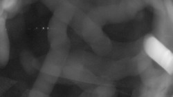 Areál koupaliště Holešov