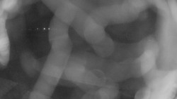 Areál koupaliště Holešov