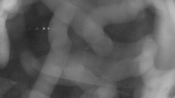 Areál koupaliště Holešov