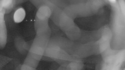 Areál koupaliště Holešov