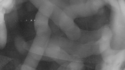 Areál koupaliště Holešov