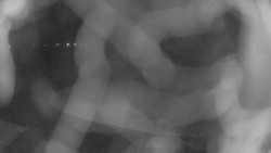 Areál koupaliště Holešov