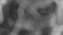 Areál koupaliště Holešov