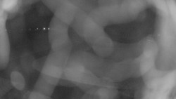 Areál koupaliště Holešov