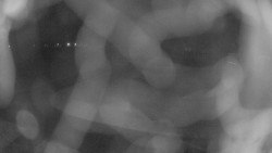 Areál koupaliště Holešov