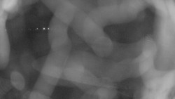 Areál koupaliště Holešov