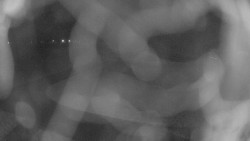 Areál koupaliště Holešov