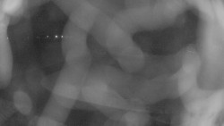 Areál koupaliště Holešov