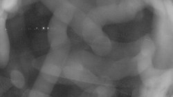 Areál koupaliště Holešov