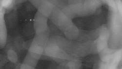 Areál koupaliště Holešov