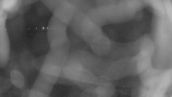 Areál koupaliště Holešov