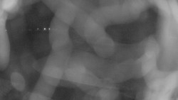 Areál koupaliště Holešov