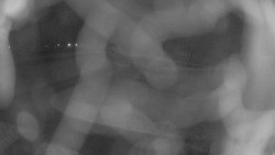 Areál koupaliště Holešov