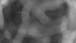 Areál koupaliště Holešov