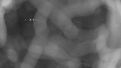 Areál koupaliště Holešov