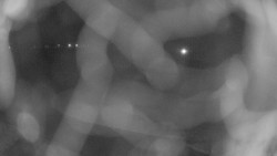 Areál koupaliště Holešov