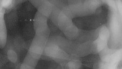 Areál koupaliště Holešov