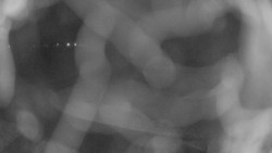 Areál koupaliště Holešov