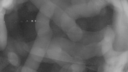 Areál koupaliště Holešov