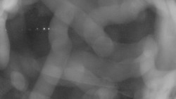 Areál koupaliště Holešov