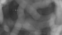 Areál koupaliště Holešov