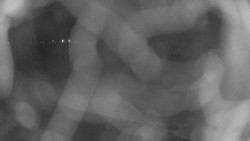 Areál koupaliště Holešov