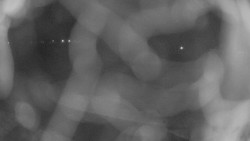 Areál koupaliště Holešov