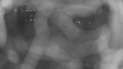 Areál koupaliště Holešov