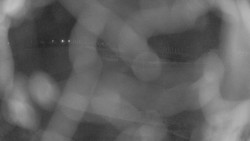 Areál koupaliště Holešov