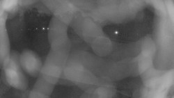 Areál koupaliště Holešov