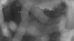 Areál koupaliště Holešov