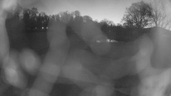 Areál koupaliště Holešov