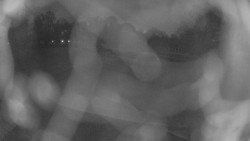 Areál koupaliště Holešov