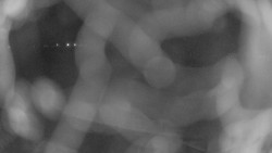 Areál koupaliště Holešov