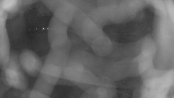 Areál koupaliště Holešov