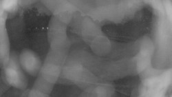 Areál koupaliště Holešov