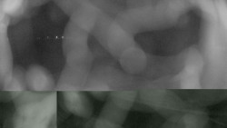 Areál koupaliště Holešov