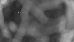 Areál koupaliště Holešov