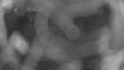 Areál koupaliště Holešov