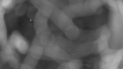 Areál koupaliště Holešov