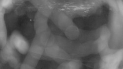 Areál koupaliště Holešov